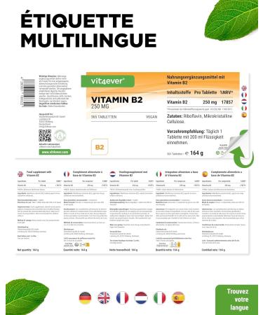 Vitamin B2 (Riboflavin) - 250 mg - 365 tablets - High dose - No unwanted additives - Vegan - Buy Online on GoSupps.com