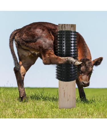 Massage Brush Set for Horses | 2-Piece Scratching Board & Anti-Itch Pad | Essential Horse & Cattle Accessories - Buy Online on GoSupps.com