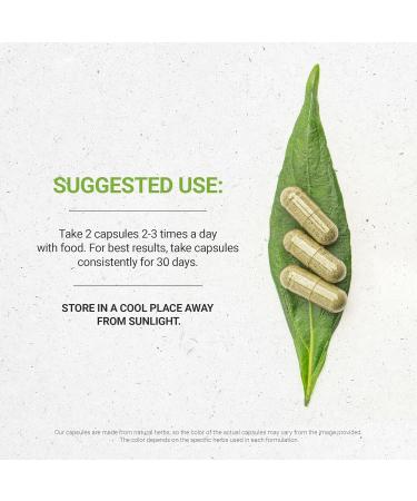 Stevia 120 Capsules, 1000 mg, USDA Organic Stevia Rebaudiana Dried Leaf (120 Capsules) 120 Count (Pack of 1) - Buy Online on GoSupps.com