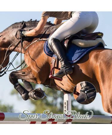 4Pcs Single Ply Leather Horizons Spur Straps for Riding Horse - Black/Brown - Buy Online on GoSupps.com