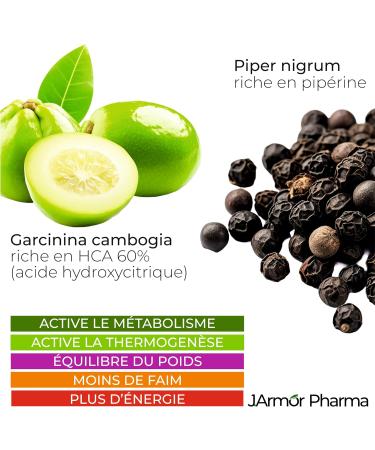 J.Armor 120 Capsules | Powerful Fat Burner | Powerful And Effective Hunger Suppressant | Fast And Effective Weight Loss | Slimming | Magrir | Flat Stomach | Treatment For 60 Days - Buy Online on GoSupps.com