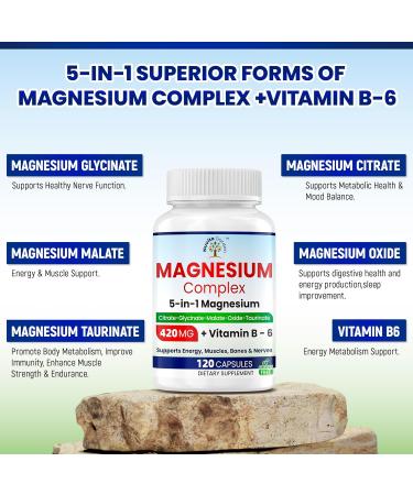 Magnesium Supplement - 5 in 1 Complex | Glycinate | Citrate | Malate | Taurinate| Oxide with Vitamin B6 - Made in USA - Sleep Muscle & Heart Support - Vegan Non-GMO - 120 Capsules 2 Month Supply - Buy Online on GoSupps.com