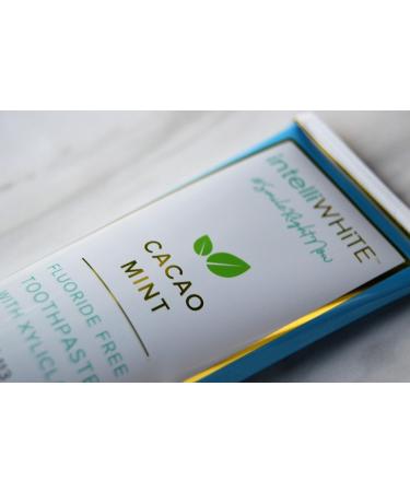 Naturally Crafted Cacao-Mint Fluoride-Free Toothpaste - Whitening & Stain Removal with Xyliclay Aloe Vera & Bentonite Clay Non-Toxic 4oz - International Shipping Available - Buy Online on GoSupps.com