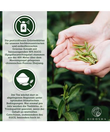 Qidosha Decaffeinated Green Tea Extract Capsules - 180 pc 700mg | 50% High-Dose EGCG (350mg) - Caffeine-Free for Optimal Health - Buy Online on GoSupps.com