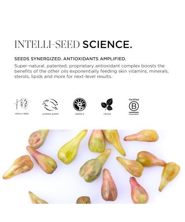 Intelligent Nutrients Seed Synergy Foaming Cleanser - Deep Cleaning & Hydrating Face Wash for All Skin Types | Vegan | 5 Oz - Buy Online on GoSupps.com