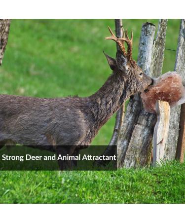 Himalayan Nature Deer Attractant Salt Mineral Rock - 100% Natural Licking Rock - Buy Online on GoSupps.com
