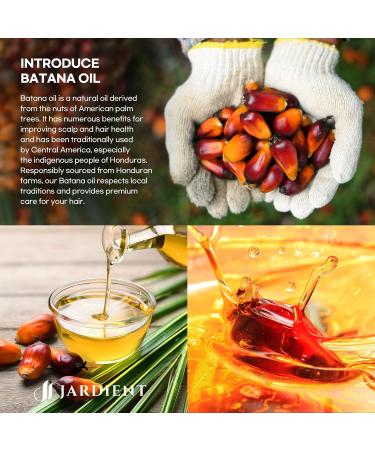 Raw Batana Oil for Hair Growth - 100% Organic Dr. Sebi Batana Oil from Honduras | Natural Hair Thickness for Men & Women - 2FL OZ - Buy Online on GoSupps.com