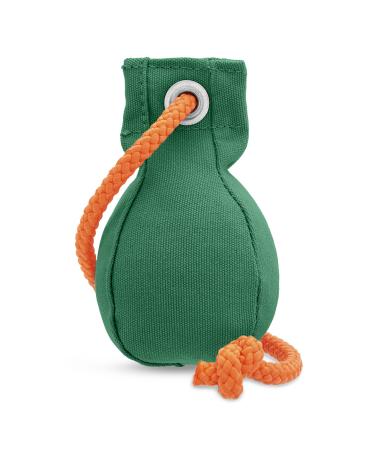 Dummy ball 150g dog training toy robust material floatable extra-long rope ideal for fetch training trains search and marker capacity Green - Buy Online on GoSupps.com