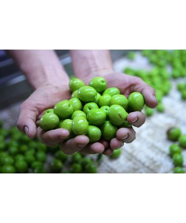 Gaea Pitted Kalamata Olives 5.3 oz - Authentic Greek Olives for Salads & Tapas - Buy Online on GoSupps.com