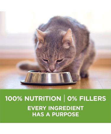 Purina ONE +Plus Dry Cat Food Indoor Advantage Turkey - 1.8 kg Bag 1.8 kg (Pack of 1) - Buy Online on GoSupps.com