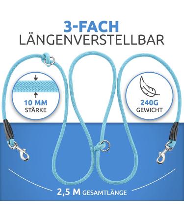 Happyshephie Adjustable Dog Leash 2.5m - Robust Reversal Leash for Medium & Large Dogs - Arctic Blue - Perfect for International Shipping - Buy Online on GoSupps.com