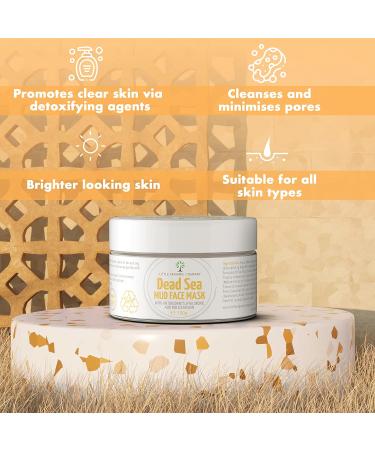 Clear Skin Face Mud Mask - Dead Sea Minerals Antioxidants Hyaluronic Acid Vegan Cruelty Free - Buy Online on GoSupps.com