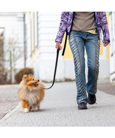 Jostift 5m Reflective Dog Leash - Waterproof Training Line for Small to Large Dogs | Durable 2.5cm Recall Leash - Buy Online on GoSupps.com