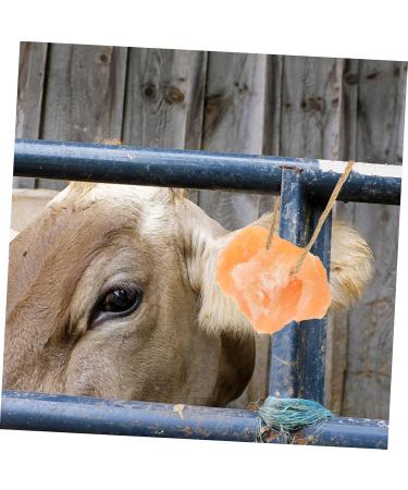 DOITOOL Livestock Salt Lick Animal Farm Supply Salt Licking Block Small Pets Lick Salt Nutrition Pendant - Buy Online on GoSupps.com