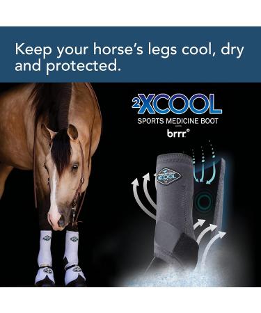 Buy Professional's Choice 2XCOOL Sport Medical Boots - 4-Pack Small Raspberry | International Shipping Available - Buy Online on GoSupps.com