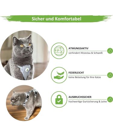 MC-Royal Premium Cat Dishes with Leash - Adjustable Size for Small & Large Cats | Durable Break-Proof Cat Bowls in Gray (XXS) - Buy Online on GoSupps.com