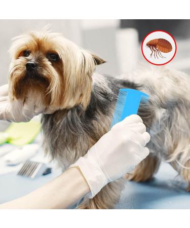 6 Pcs Durable Double Sided Lice Combs Nit Treatment - Rose Red | For Adults, Kids, Pets - Buy Online on GoSupps.com