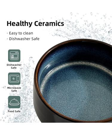 Havniva Ceramic Raised Cat Bowl Set - 400ml (13oz) 2 x Starry Sky | Cat Food & Water Dish with Stand for Kitty Feeder - Buy Online on GoSupps.com