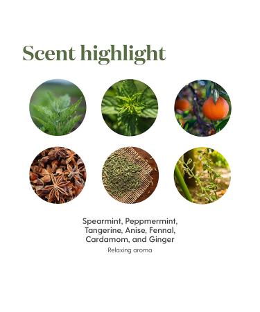 KidScents TummyGize Essential Oil Blend by Young Living - 5 ml - Calming & Relaxing - Buy Online on GoSupps.com