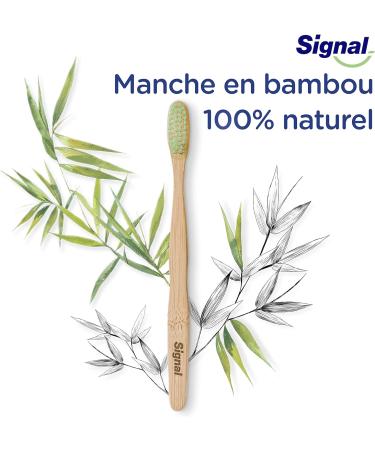 Buy Signal Bamboo Toothbrush - Natural Medium - Eco-Friendly & Sustainable - 1 Piece International Shipping - Buy Online on GoSupps.com