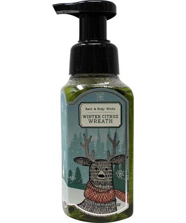 Bath & Body Works Assorted 5 Pack Gentle Foaming Hand Soap - Luxurious Cleansing Experience - Buy Online on GoSupps.com