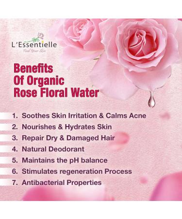 Organic Rose Water 100% Pure Natural Alcohol Free Hydrosol Face & Skin Toner with Storage Gift Box - Buy Online on GoSupps.com