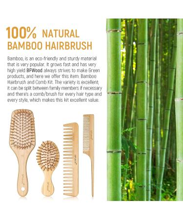 BFWood Bamboo Hair Brush and Combs Set - Eco-Friendly Wooden Brushes for All Hair Types - Buy Online on GoSupps.com