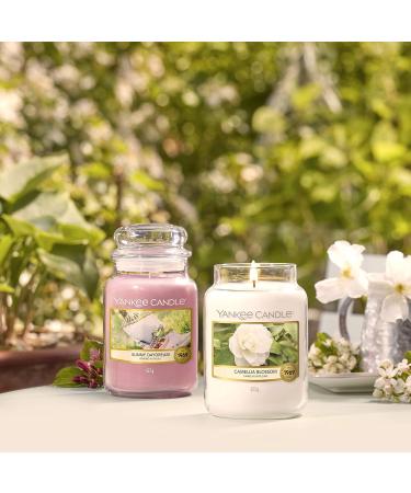 Yankee Candle Camellia Blossom | Garden Hideaway Collection | Large Candle | Up to 150 Hours Burn Time | International Shipping Available - Buy Online on GoSupps.com