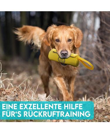 Dog is K nig Feed Bag for Dogs - Dummy for Training All Breeds - Includes Treats & Training Book - Sun Yellow Feed Dummy - Buy Online on GoSupps.com