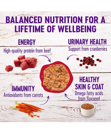 Wellness Complete Health Grain-Free Canned Cat Food - Beef & Chicken Dinner Pate, 5.5 oz (Pack of 24) for Adult Cats - Buy Online on GoSupps.com