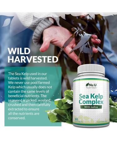 Sea Kelp Tablets 2000mg - 365 Vegan Tablets - High Strength Iodine Supplement for Thyroid Support - Non GMO - Natural Source from Wild Harvested Seaweed - Buy Online on GoSupps.com
