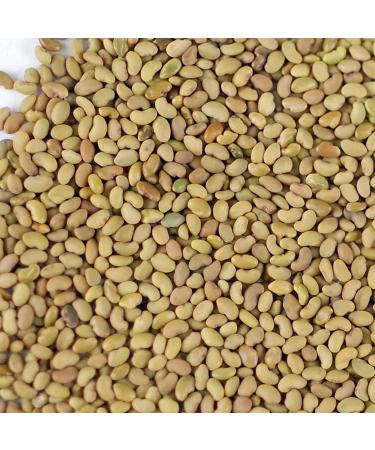 Certified Organic Alfalfa Sprouting Seeds - 8 oz Pouch - Handy Pantry Brand - High Germination Rate for Sprouts, Gardening, Hydroponics, and Food Storage - Buy Online on GoSupps.com