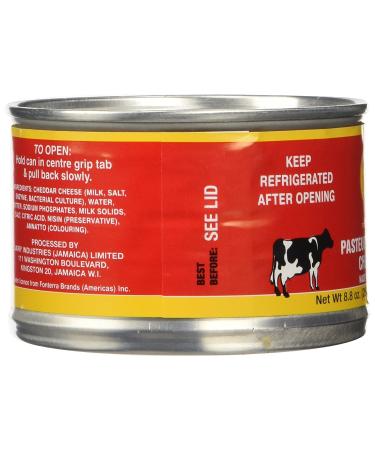 Jamaican Tastee Cheese 8.8 oz - Authentic Caribbean Flavor | [Brand Name] - Buy Online on GoSupps.com