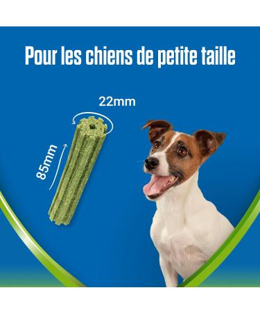 PURINA DENTALIFE ACTIVFRESH MINI | Treats for Small Dogs | 7 Chew Sticks | Spirulina and Honey | Pack of 1 | 115 g - Buy Online on GoSupps.com