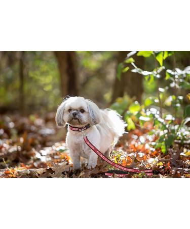 NFL Pet Leash - Small | Officially Licensed by Pets First - Buy Online on GoSupps.com