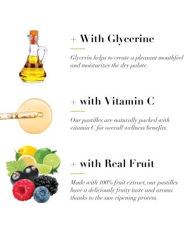 Dr. Doolittle s Soft Fruit Pastilles Sugar Free Variety Pack for Voice and Throat 2.12 Ounce Tin Approximately 25 Count Package 3 Pack - Buy Online on GoSupps.com