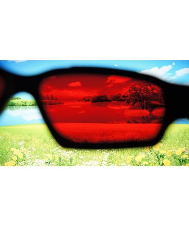 Blue Blocking Glasses for Sleep - 99.9% Blue & Green Light Block - PaleoTech Dark Therapy Lens to Fall Asleep Faster Optimize Hormones Alleviate Headaches International Shipping Available - Buy Online on GoSupps.com