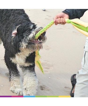DogDirect London DOG TUG TOY Tugger Tug Chase Rope SMALL: 45cm/17in LARGE: 75cm/29in Soft plaited Flexible FLEECE DOG TOYS Ideal FOR TRAINING PUPPY PLAY HAND MADE (Large Blue) KAL2 Large Blue - Buy Online on GoSupps.com
