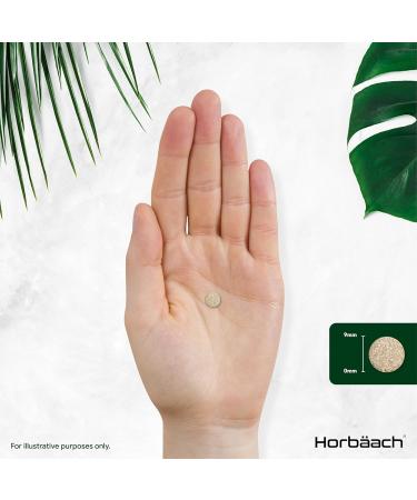 Menopause Sage 4000mg | 120 Vegan Capsules | Sage Extract | Dietary Supplement | High Dosed | Sage Leaf Supplement | by Horbaach - Buy Online on GoSupps.com