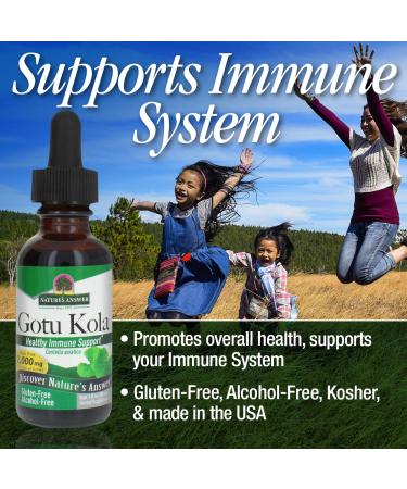 Nature's Answer Gotu Kola Herb Extract - 1oz, Alcohol-Free - Buy Online on GoSupps.com