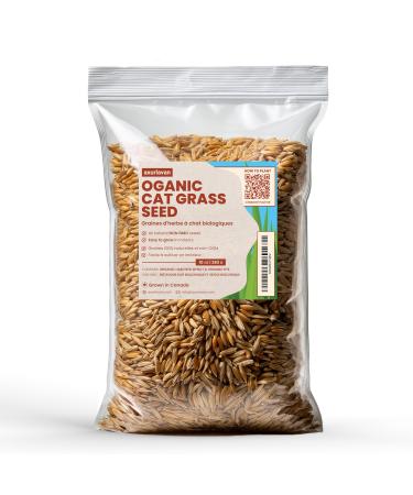 Organic Cat Grass Seeds - 10oz (284 Grams) of Hard Red Wheat Seeds and Rye Seeds - Non GMO Sprouting Seeds - Pet Grass for Indoor Cats - Harvested in Canada
