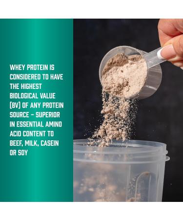 NOW Foods Sports Nutrition Whey Protein 26 G With BCAAs Creamy Vanilla Powder 10-Pound 10 Pound (Pack of 1) - Buy Online on GoSupps.com