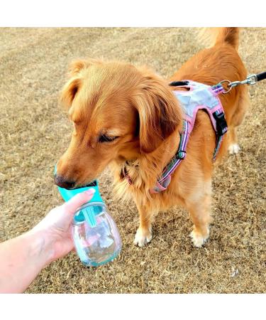 Nepfaivy Portable Dog Water Bottle: 350ml Travel Bottle with 150ml Food Container - Ideal for Small Dogs on-the-Go Hiking & Traveling - Blue - Buy Online on GoSupps.com