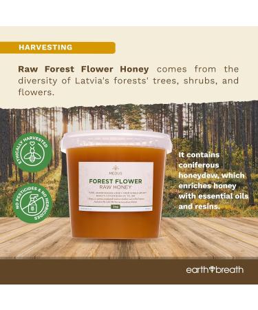 Earthbreath Forest Flower Raw Honey 3kg - Pure Dark Unpasteurised and Unfiltered - Natural Sweetener for Cooking Tea Coffee Milk Juice - 3.00 kg - Buy Online on GoSupps.com