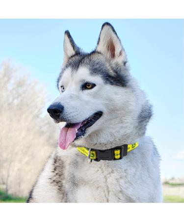 John Deere Satin Pet Collar - Medium Size | Official John Deere Merchandise - Buy Online on GoSupps.com