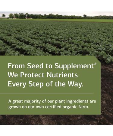 Standard Process GI Adsorb - Gastrointestinal Health & Elimination Dietary Supplement - Digestion System Support - Gluten-Free Non-Dairy & Non-Soy - 112 Capsules (28 Servings) - Buy Online on GoSupps.com