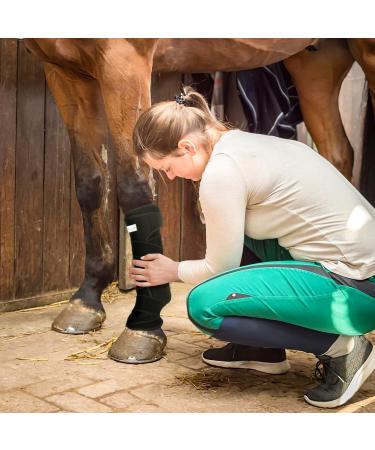IceHOF Cooling Gaiters for Horses | Firm Hold & Comfortable Material | 2 Removable Cooling Packs | Washable & Protective Cooling Straps (2 Pieces) - Buy Online on GoSupps.com