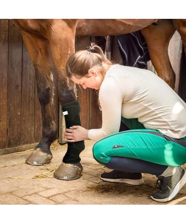 IceHOF Cooling Gaiters for Horses | 4-Piece Set with Removable Cooling Packs & Washable Bandage | Comfortable & Protective Gaiter - Buy Online on GoSupps.com