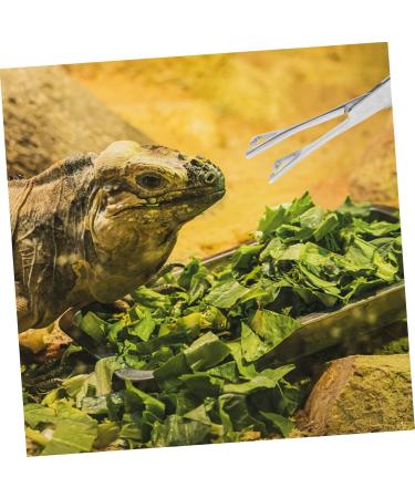 POPETPOP Reptile Feeding Clip Snake Tank Accessories Snake Tong Silver Stainless Steel - Buy Online on GoSupps.com