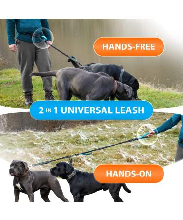 2-in-1 Dog Jogging Leash | Double Handle Belly Belt Leash for Large & Medium Dogs | Perfect for Jogging Hiking & Walking Two Dogs - Buy Online on GoSupps.com